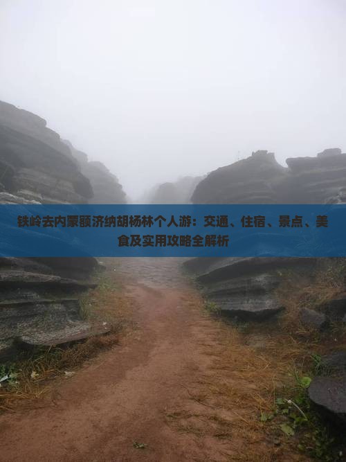 铁岭去内蒙额济纳胡杨林个人游