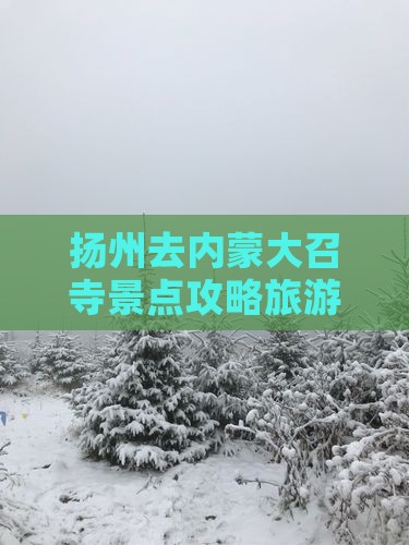 扬州去内蒙大召寺景点