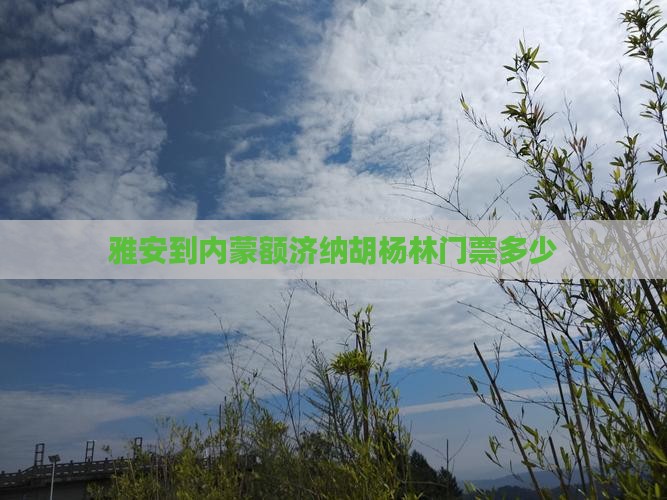雅安到内蒙额济纳胡杨林门票