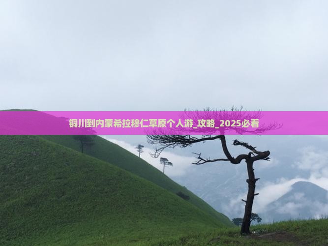 铜川到内蒙希拉穆仁草原个人游