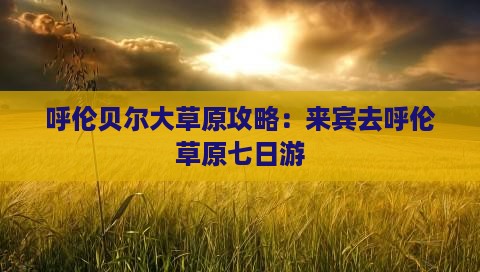 来宾去内蒙呼伦贝尔大草原七日游