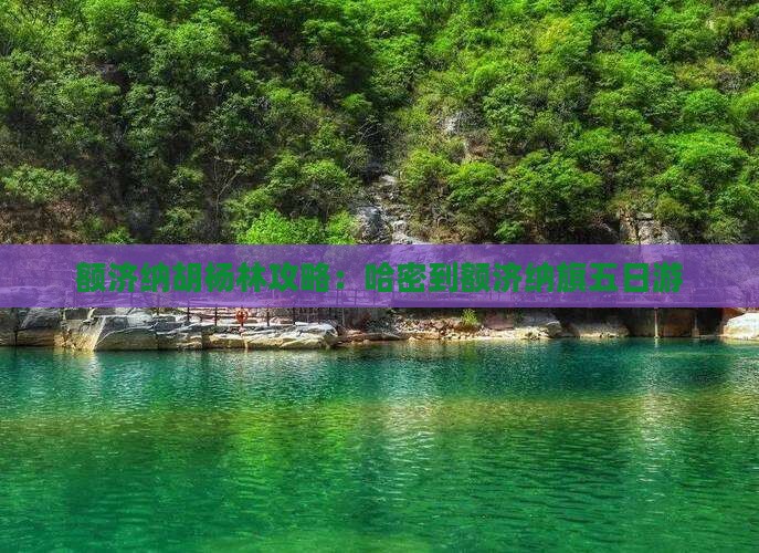 哈密到内蒙额济纳胡杨林五日游