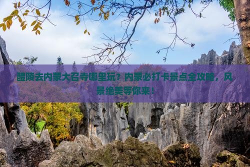 醴陵去内蒙大召寺哪里玩