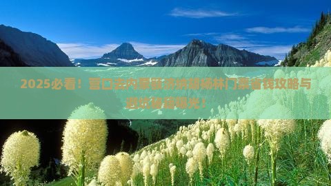 营口去内蒙额济纳胡杨林门票