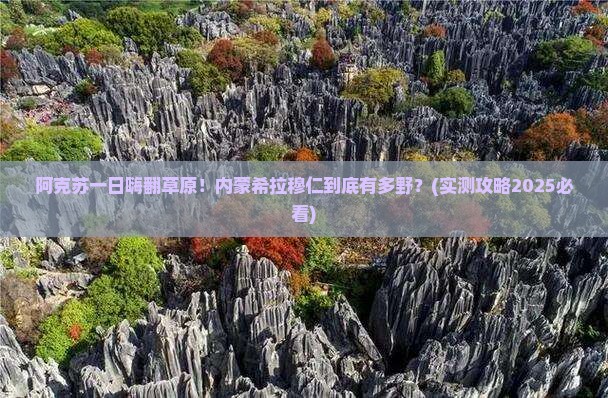 阿克苏到内蒙希拉穆仁草原一日游