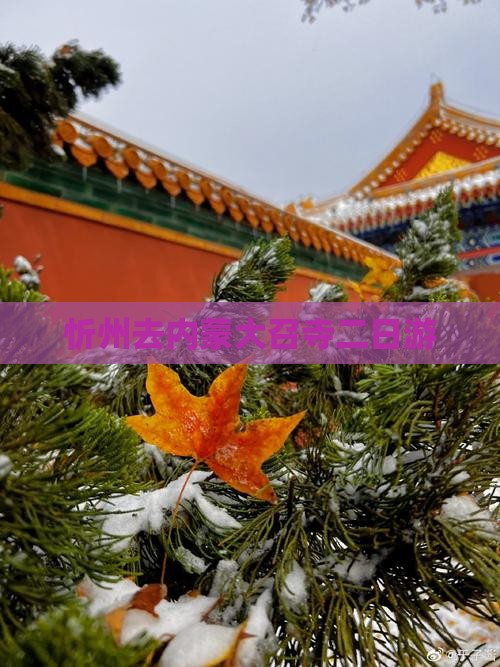 忻州去内蒙大召寺二日游