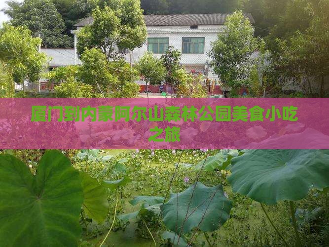 厦门到内蒙阿尔山国家森林公园旅游小吃 厦门到内蒙阿尔山国家森林公园旅游小吃