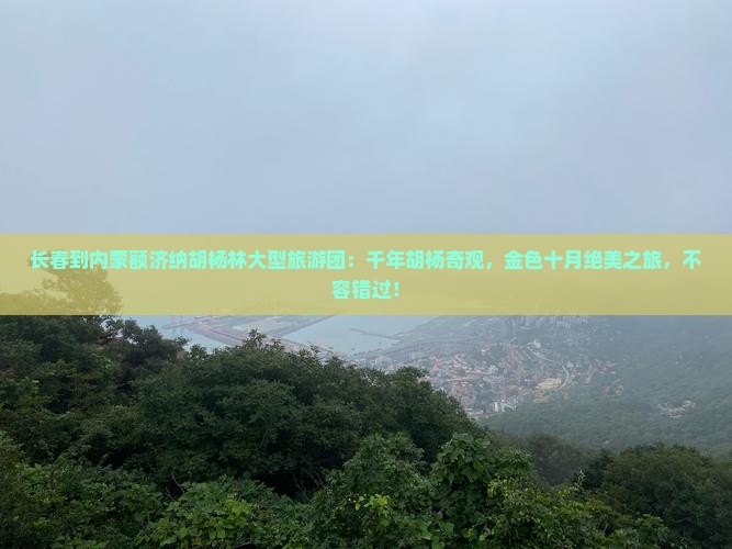 长春到内蒙额济纳胡杨林大型旅游团