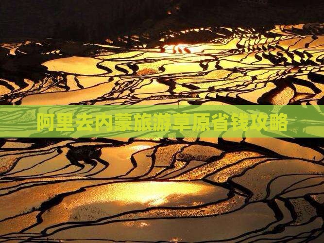阿里去内蒙门票