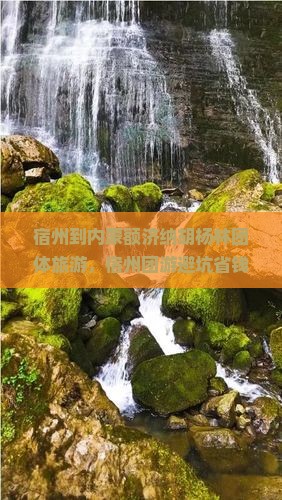 宿州到内蒙额济纳胡杨林团体旅游