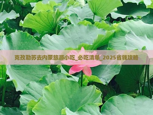 克孜勒苏去内蒙旅游小吃