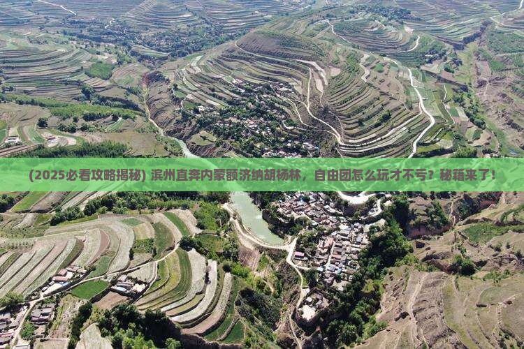 滨州去内蒙额济纳胡杨林自由团