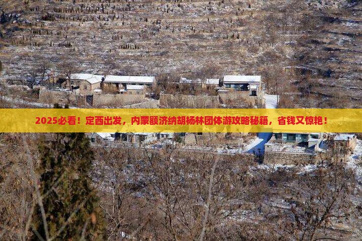 定西到内蒙额济纳胡杨林团体旅游