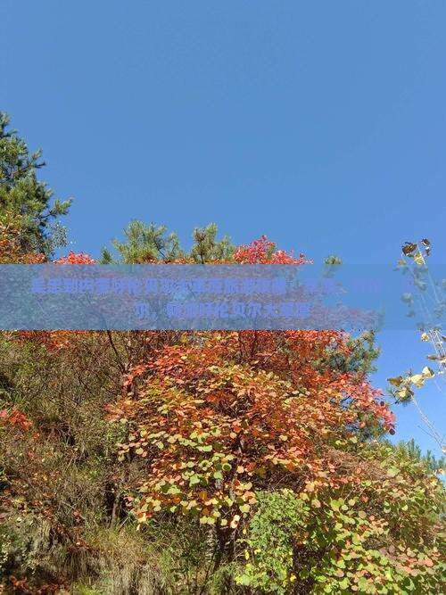 吴忠到内蒙呼伦贝尔大草原攻略