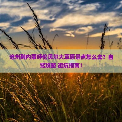 沧州到内蒙呼伦贝尔大草原景点