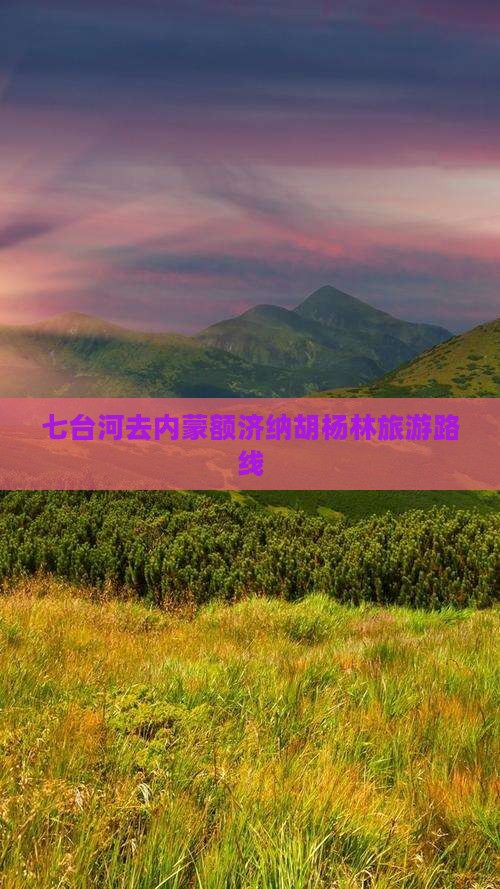七台河去内蒙额济纳胡杨林旅游