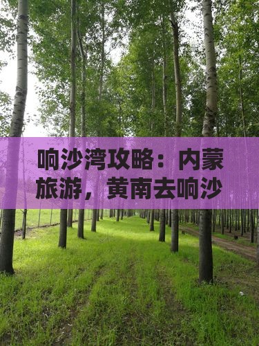 黄南去内蒙响沙湾哪里玩