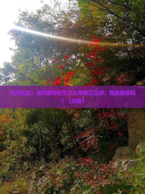泉州去内蒙呼伦贝尔大草原三日游