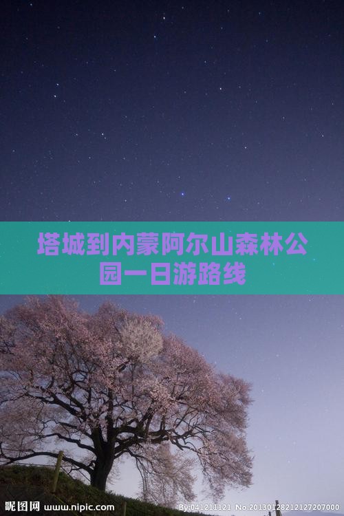 塔城到内蒙阿尔山国家森林公园一日游 塔城到内蒙阿尔山国家森林公园一日游