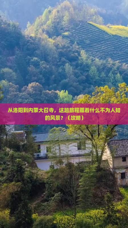 洛阳到内蒙大召寺旅游