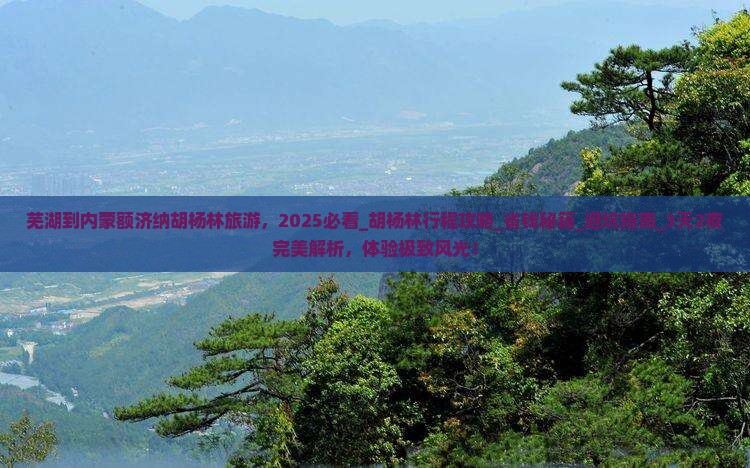 芜湖到内蒙额济纳胡杨林旅游