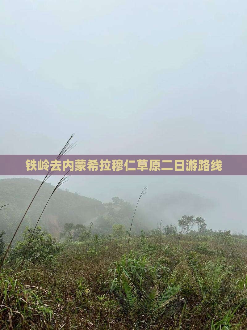 铁岭去内蒙希拉穆仁草原二日游