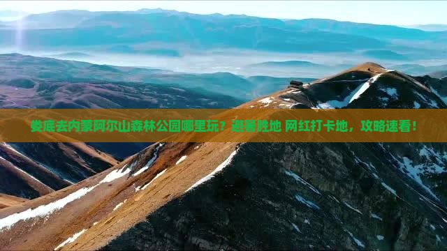 娄底去内蒙阿尔山国家森林公园哪里玩