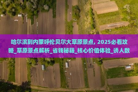 哈尔滨到内蒙呼伦贝尔大草原景点