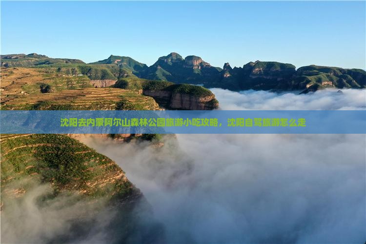 沈阳去内蒙阿尔山国家森林公园旅游小吃