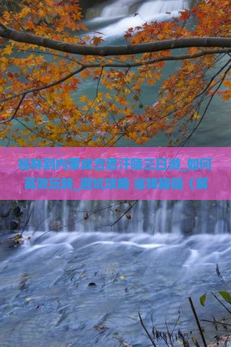 桂林到内蒙成吉思汗陵三日游