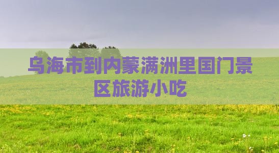 乌海市到内蒙满洲里国门景区旅游小吃