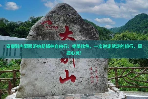 安康到内蒙额济纳胡杨林自由行