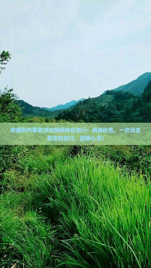安康到内蒙额济纳胡杨林自由行