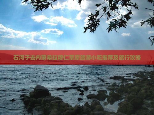 石河子去内蒙希拉穆仁草原旅游小吃