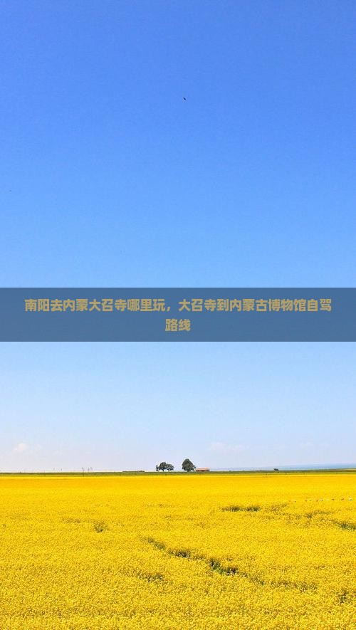 南阳去内蒙大召寺哪里玩