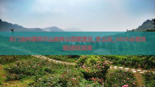 天门去内蒙阿尔山国家森林公园哪里玩