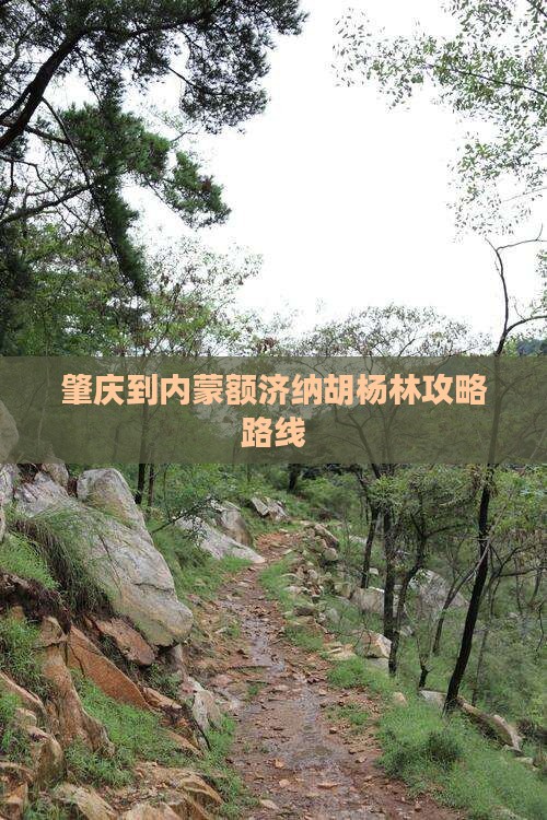 肇庆到内蒙额济纳胡杨林攻略