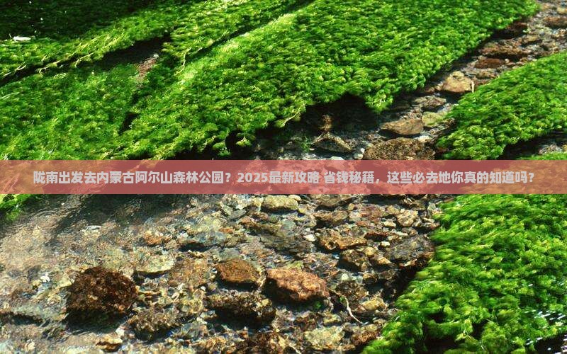 陇南去内蒙阿尔山国家森林公园必去地