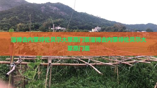 淄博去内蒙呼伦贝尔大草原门票