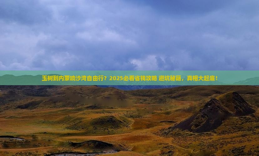 玉树到内蒙响沙湾自由团