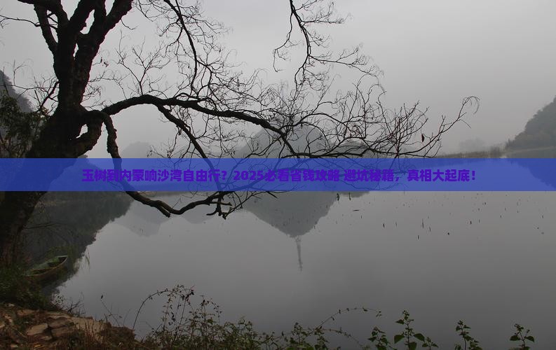 玉树到内蒙响沙湾自由团