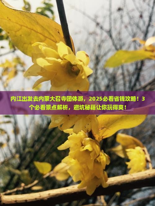 内江去内蒙大召寺团体旅游
