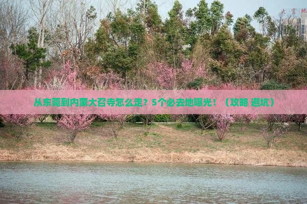 东莞去内蒙大召寺必去地