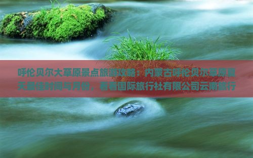 夏天到内蒙呼伦贝尔大草原景点