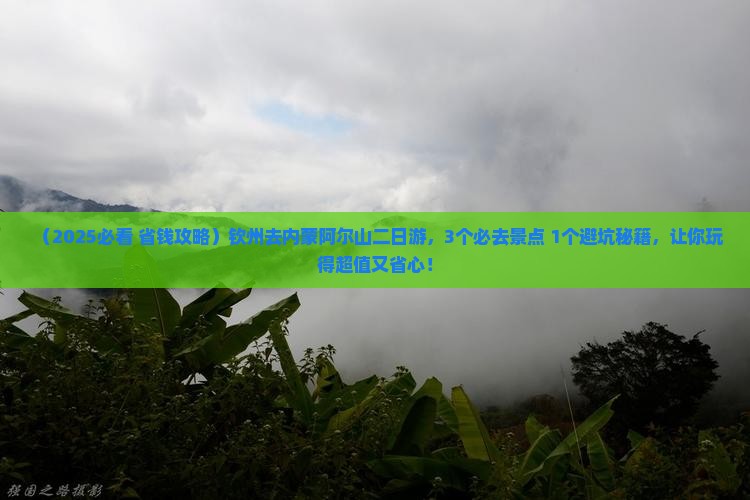 钦州去内蒙阿尔山国家森林公园二日游