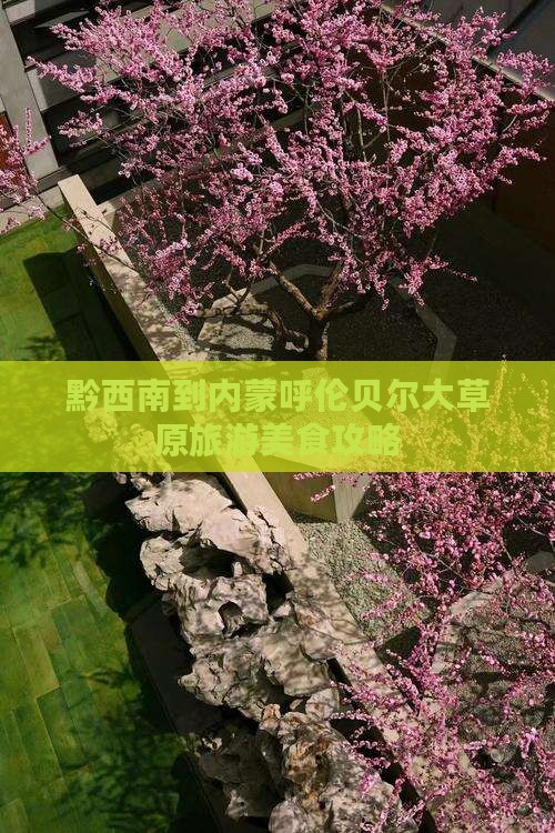 黔西南到内蒙呼伦贝尔大草原旅游小吃