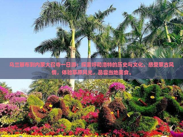 乌兰察布到内蒙大召寺一日游