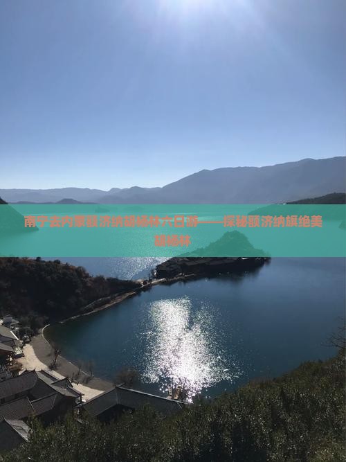 南宁去内蒙额济纳胡杨林六日游