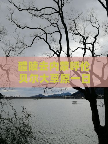 醴陵去内蒙呼伦贝尔大草原一日游