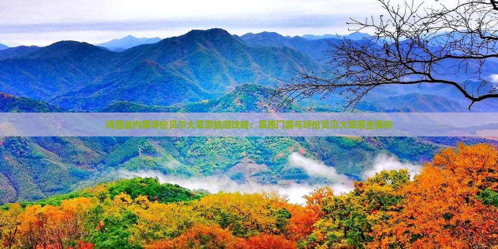 鸡西去内蒙呼伦贝尔大草原门票 鸡西去内蒙呼伦贝尔大草原门票